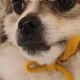 또또와