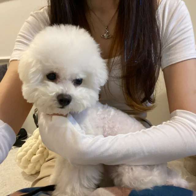 유댕이