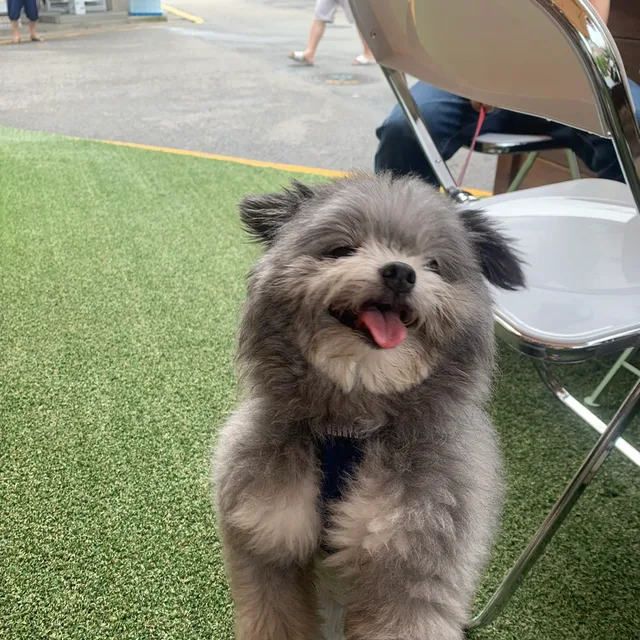 깜돌이