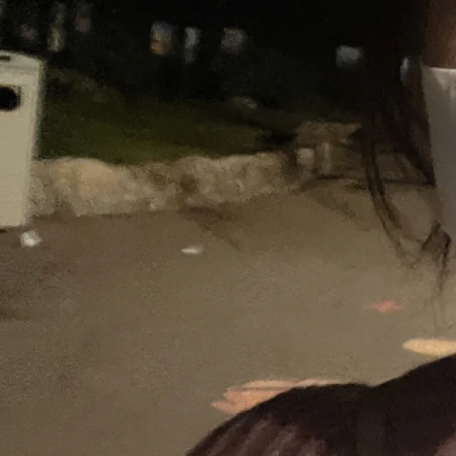 디띵