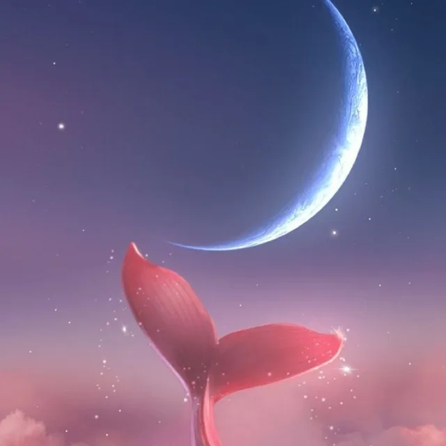 홀릭