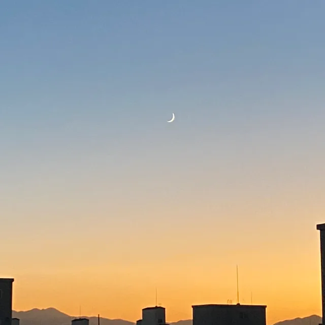 그날하루면된다