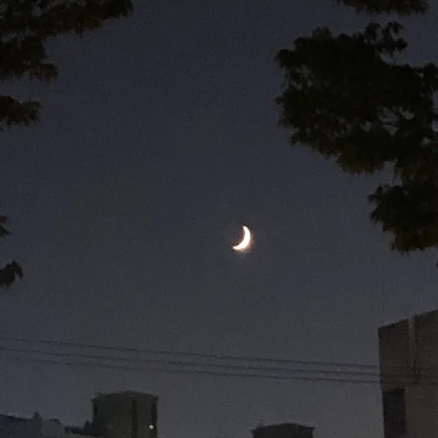 싸그리