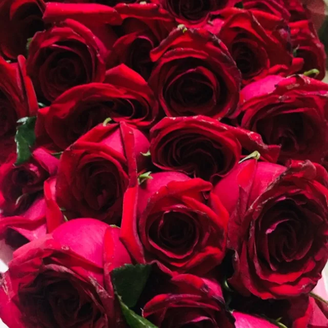 스페로스페라