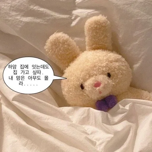도마도