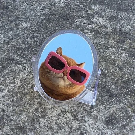 너이름이뭐니