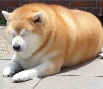 안녕하세용