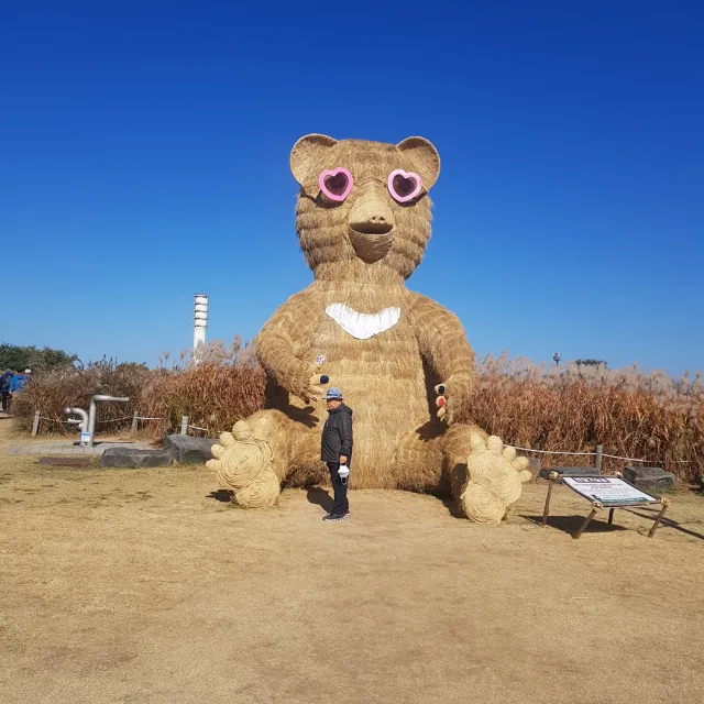 도련