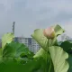 늘푸른jj