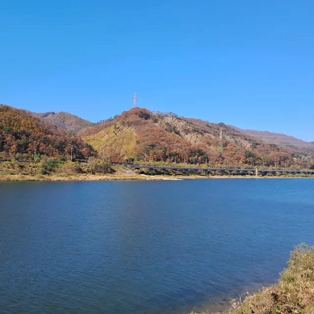 블루