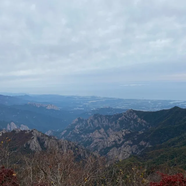 나가기예약