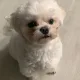 세븐
