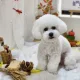 은유에몽
