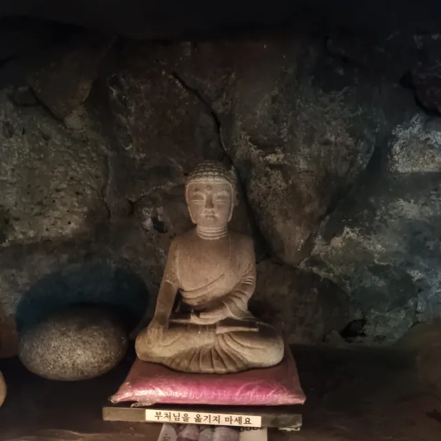 초보63