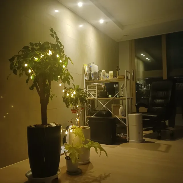 당근홀릭스