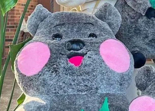 끠앙이는우리토끠