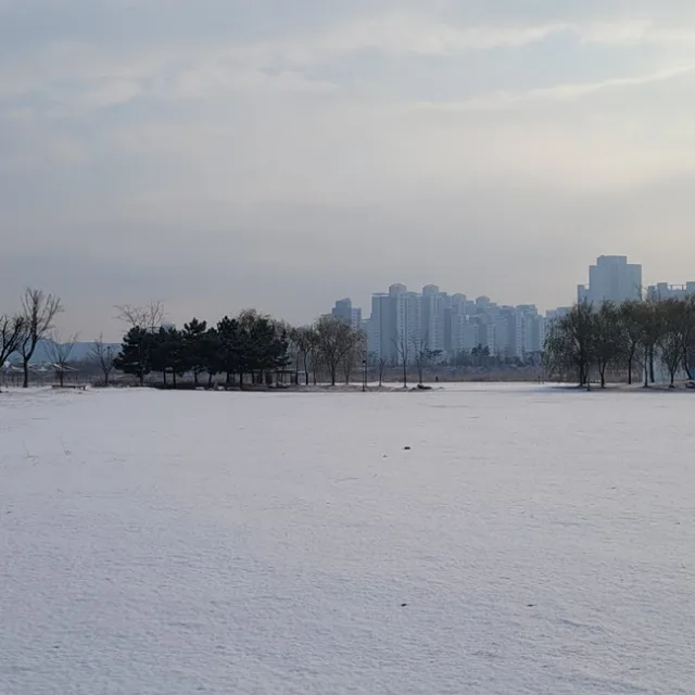 영최