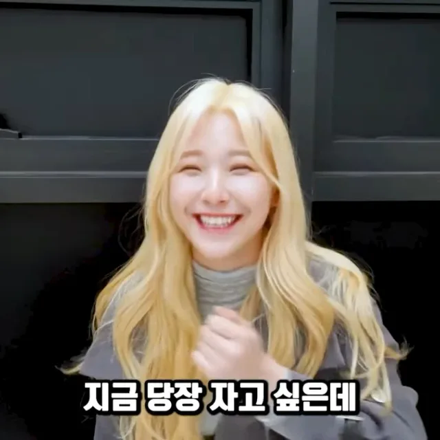 소낙비