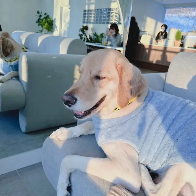 찌둥이