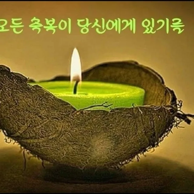 예쁜논나