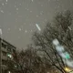 호하리룩
