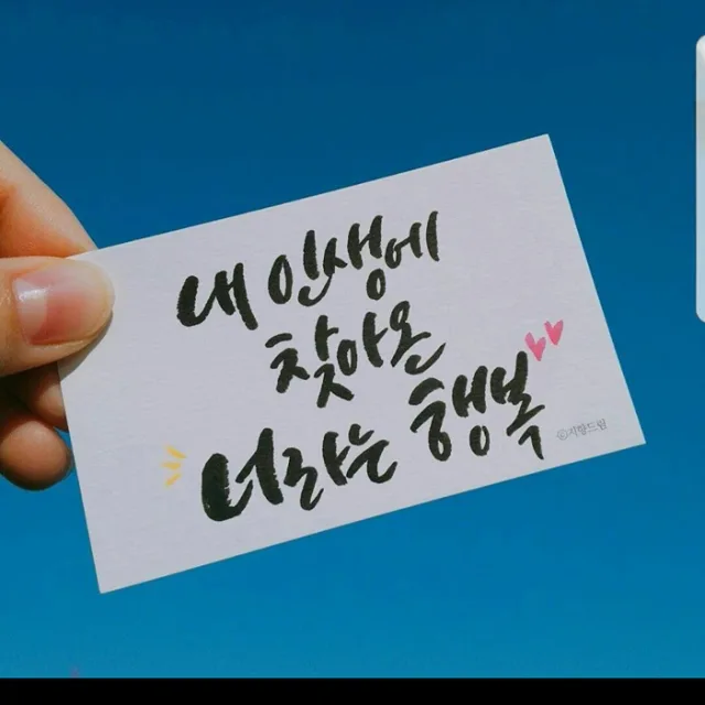 핑크는항상옳아