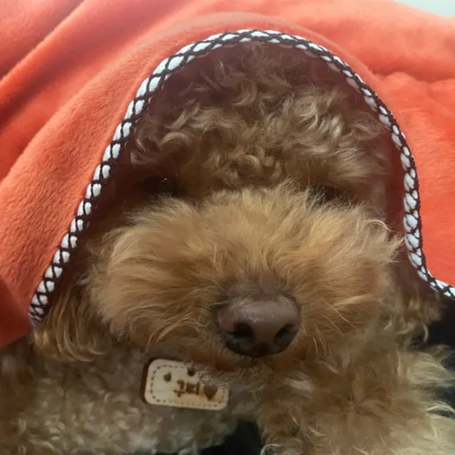 구찡