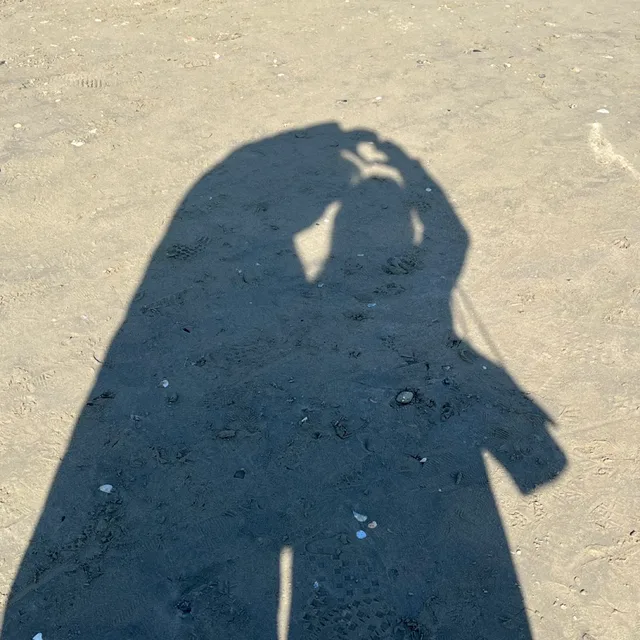 당근말이
