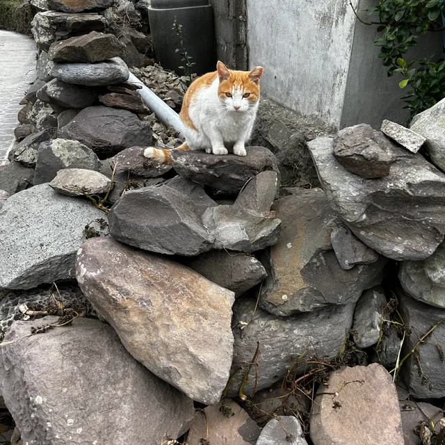 이이잉