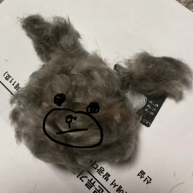 자일리털