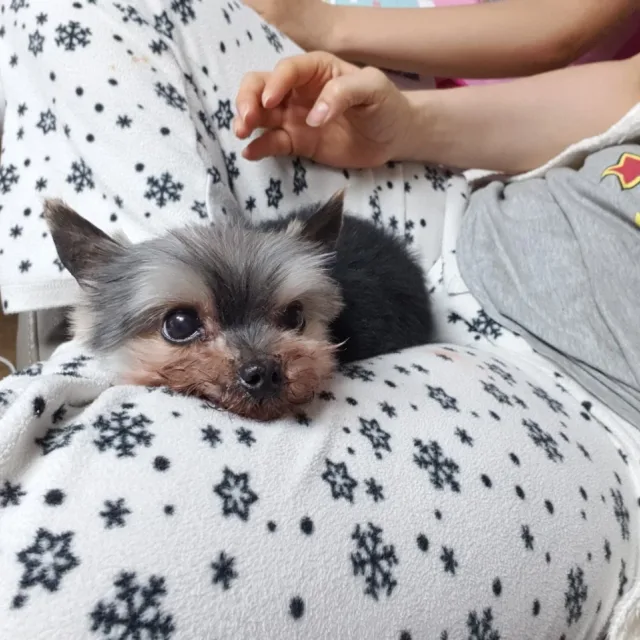 자몽맘