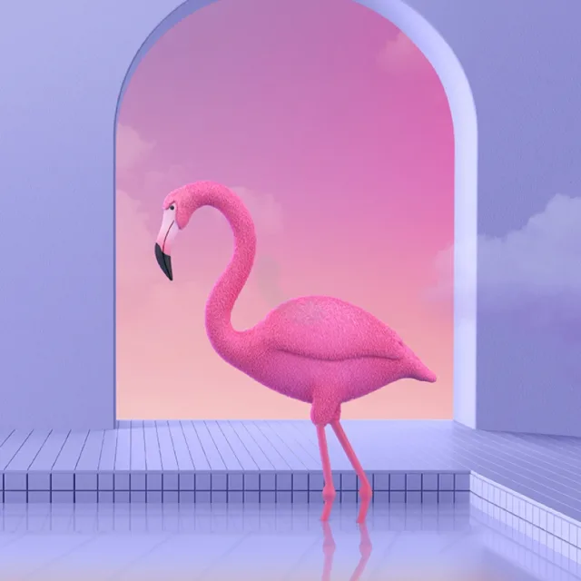 여기보세요