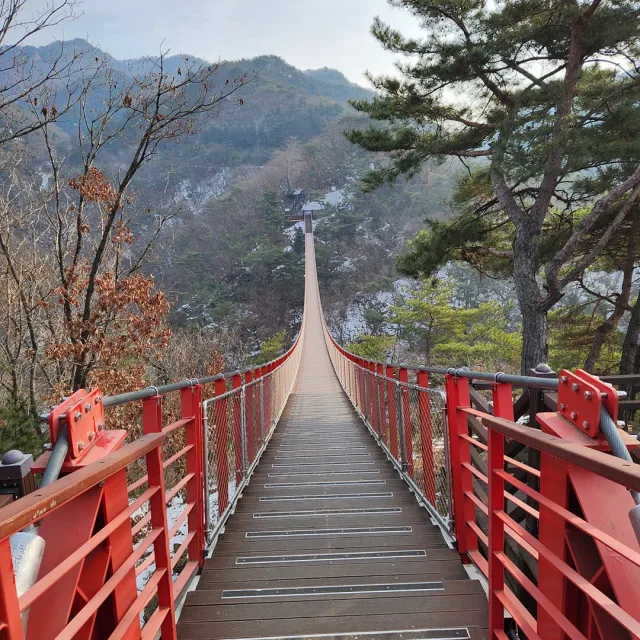 도로롱그리