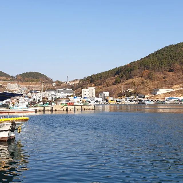 토리맘