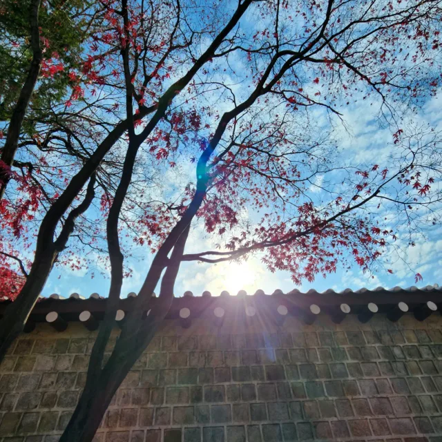 마라바라