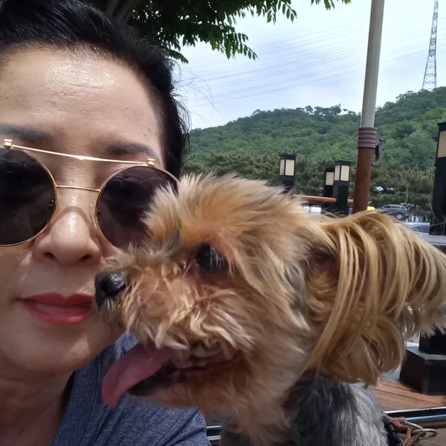슬기로운시골생활