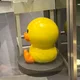 오리
