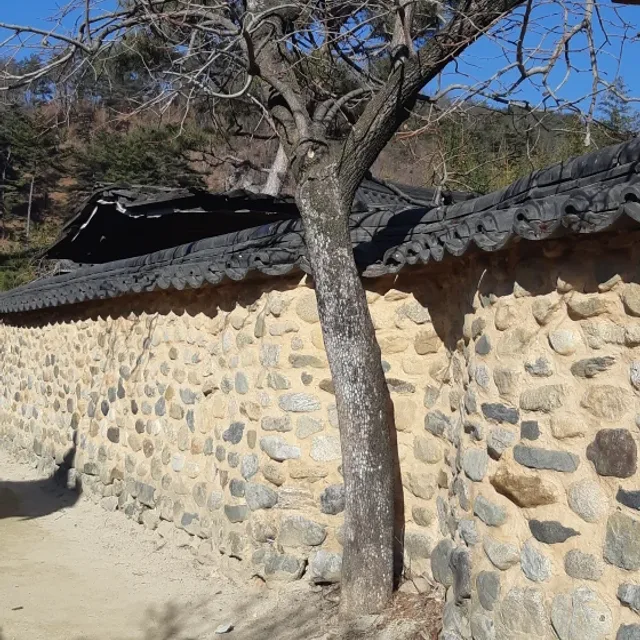 수동아저씨