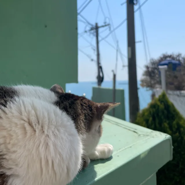 부기