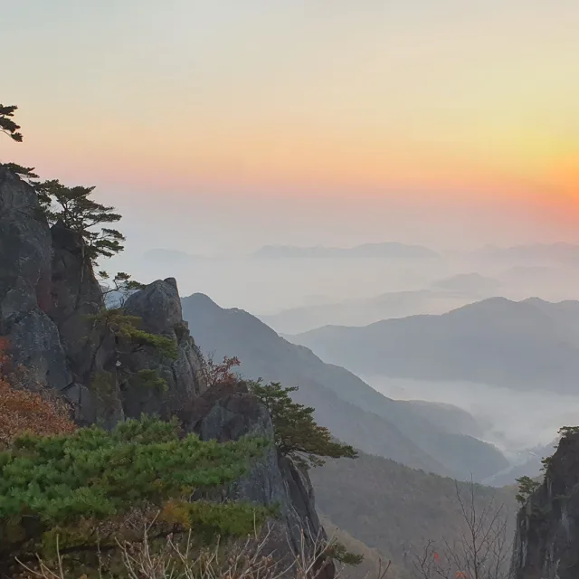 먹개비