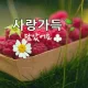 나비