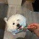 혬니