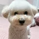 유덕순최고
