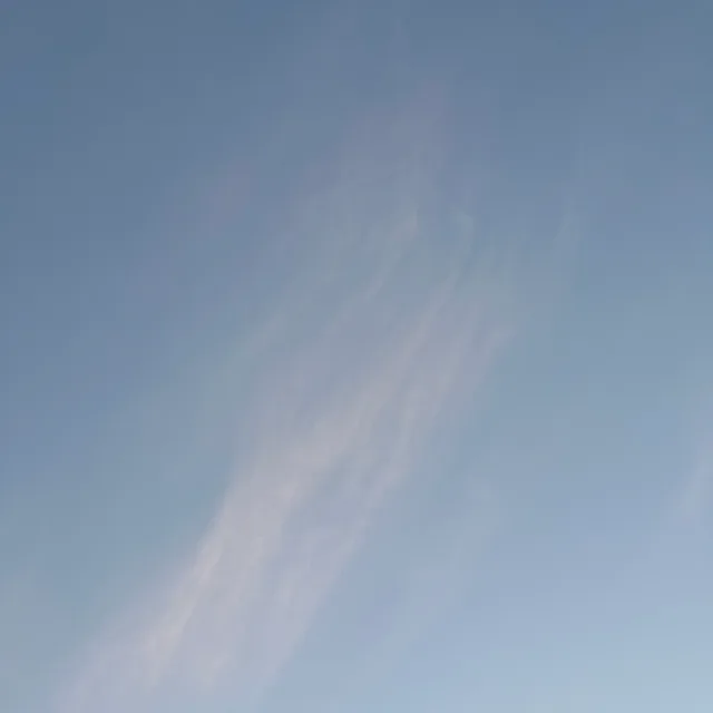 정팔이형