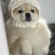 땡이