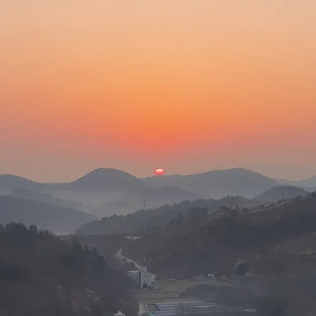 보노부리야