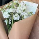 양양