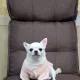 해롱님