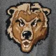 Bears