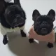 스파클생수o워터클맨3호